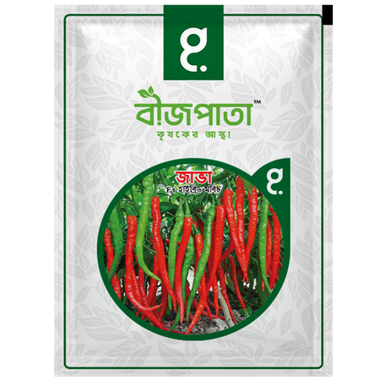 জাভা এফ১ হাইব্রিড মরিচ বীজ। Java F1 Hybrid Chilli Seeds_img_0