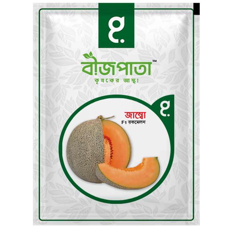 জাম্বো এফ১ হাইব্রিড রকমেলন বীজ। Jumbo F1 Hybrid Rockmelon Seeds_img_0