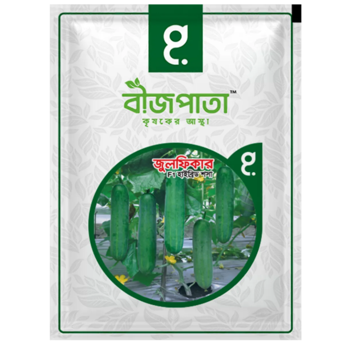 জুলফিকার এফ১ হাইব্রিড শসা বীজ। Zulfikar F1 Hybrid Cucumber Seeds