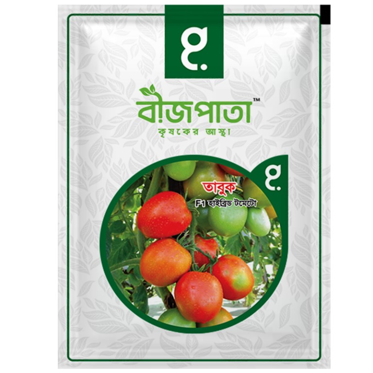 তাবুক এফ১ হাইব্রিড টমেটো বীজ। Tabuk F1 Hybrid Tomato Seeds