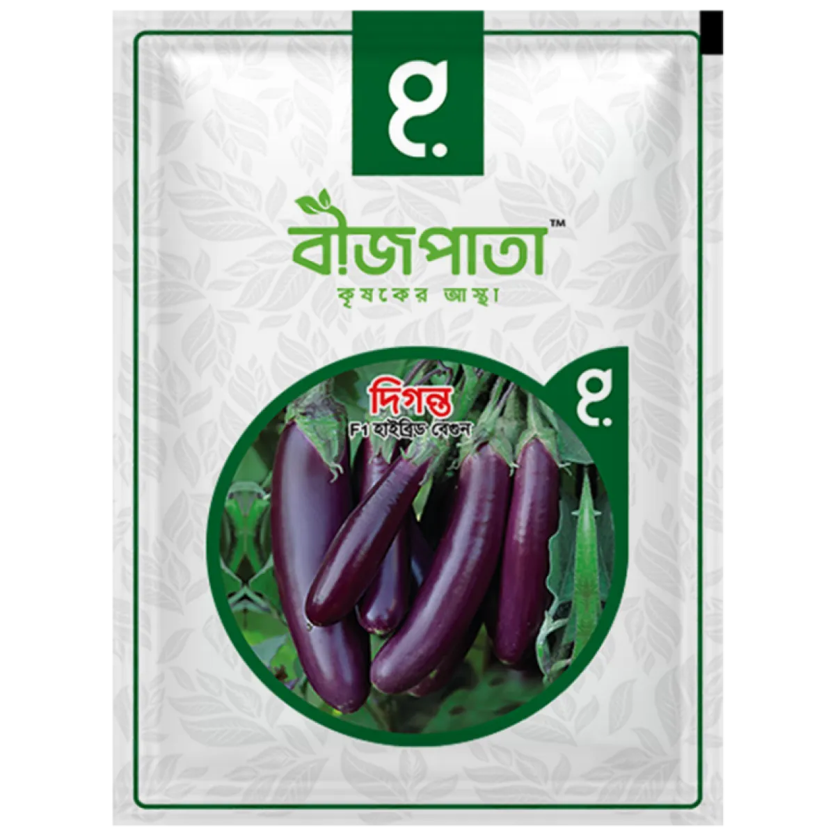দিগন্ত এফ১ হাইব্রিড বেগুন৷ Diganta F1 Hybrid Eggplant