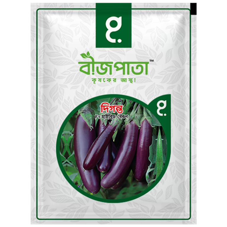 দিগন্ত এফ১ হাইব্রিড বেগুন৷ Diganta F1 Hybrid Eggplant_img_0