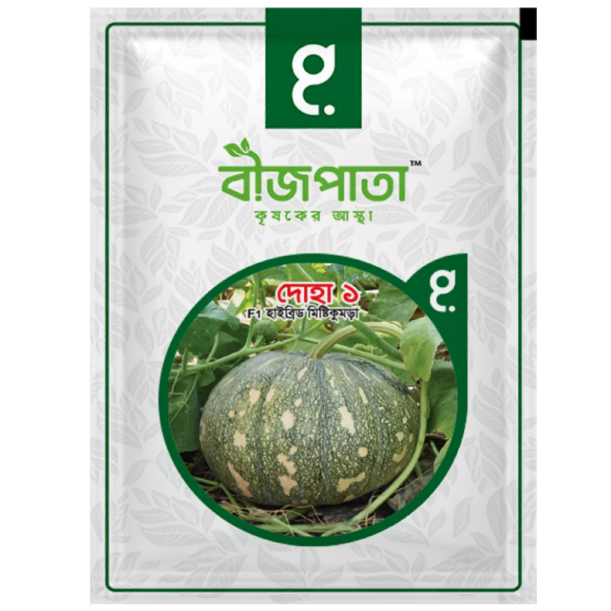 দোহা ১ এফ১ হাইব্রিড মিষ্টিকুমড়া বীজ৷ Doha 1 F1 Hybrid Pumpkin Seeds