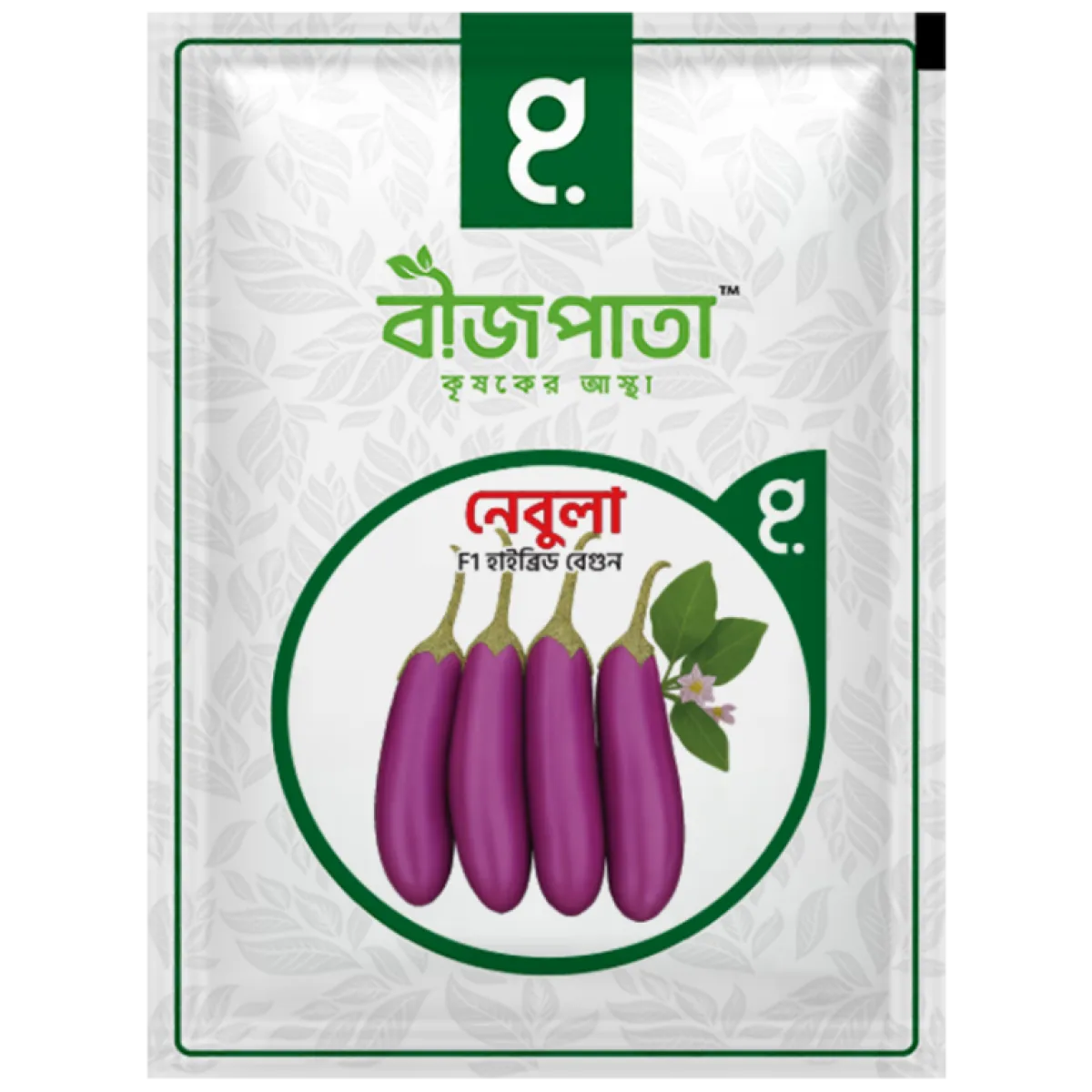 নেবুলা এফ১ হাইব্রিড বেগুন বীজ৷ Nebula F1 Hybrid Brinjal Seeds