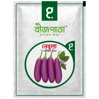 নেবুলা এফ১ হাইব্রিড বেগুন বীজ৷ Nebula F1 Hybrid Brinjal Seeds_img_0