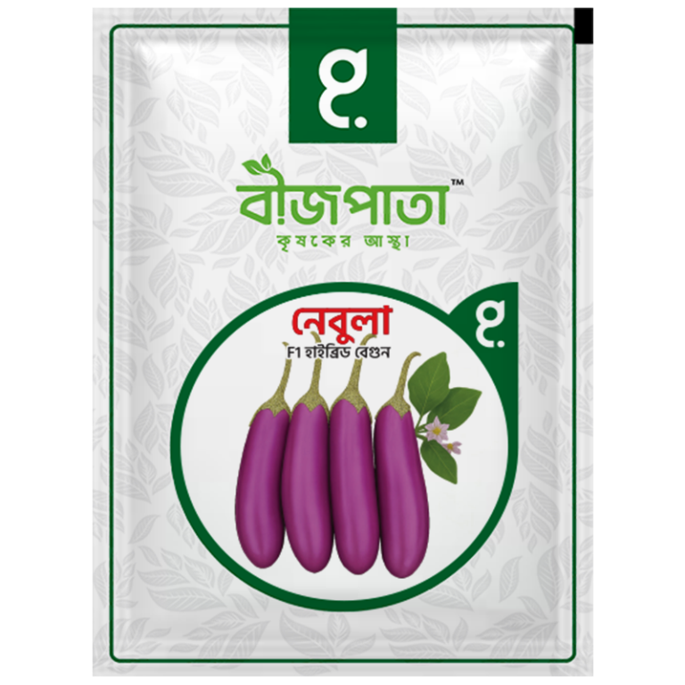 নেবুলা এফ১ হাইব্রিড বেগুন বীজ৷ Nebula F1 Hybrid Brinjal Seeds_img_0