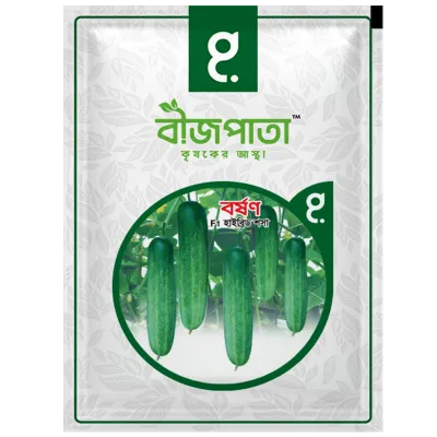 বর্ষণ শসা বীজ Borshon Cucumber Seed_img_0