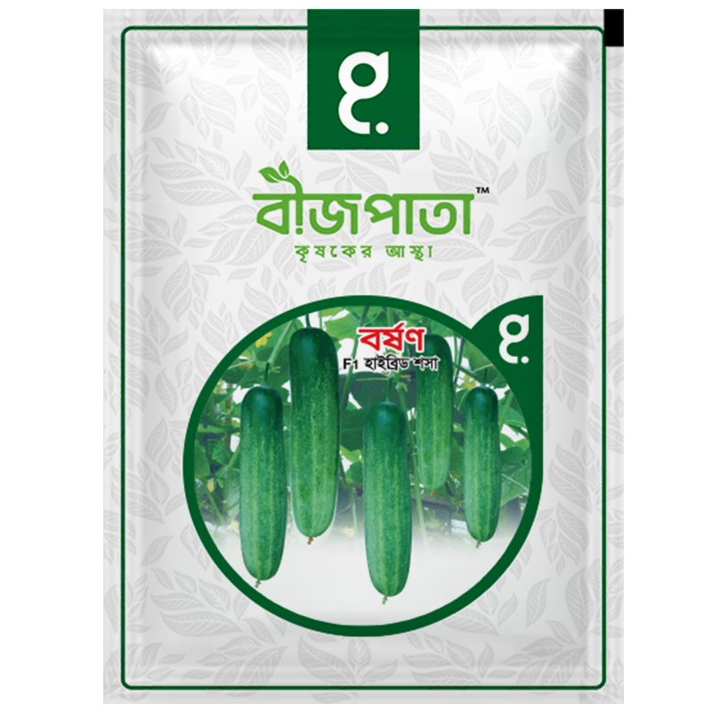 বর্ষণ শসা বীজ Borshon Cucumber Seed_img_0