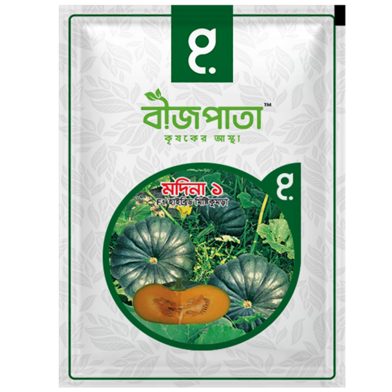 মদিনা ১ মিষ্টিকুমড়া বীজ Madina 1 Pumpkin Seed_img_0