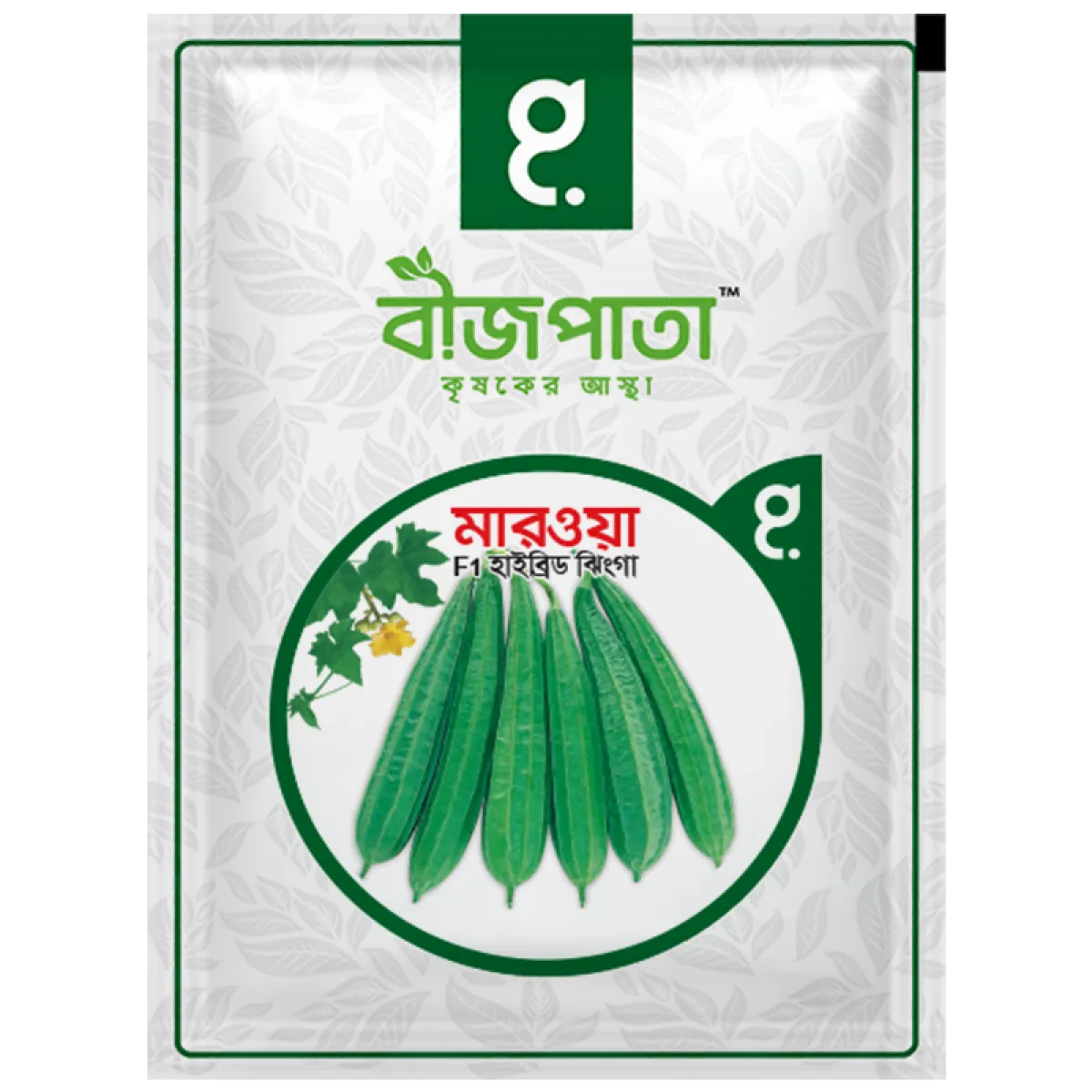 মারওয়া ঝিঙা বীজ Marwa Luffa Seed