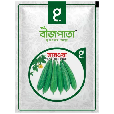 মারওয়া ঝিঙা বীজ Marwa Luffa Seed_img_0