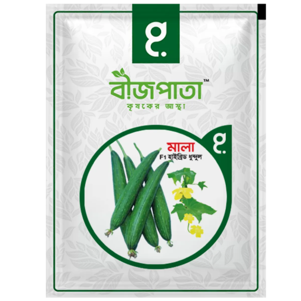 মালা ধুন্দুল বীজ Mala Sponge Gourd Seed