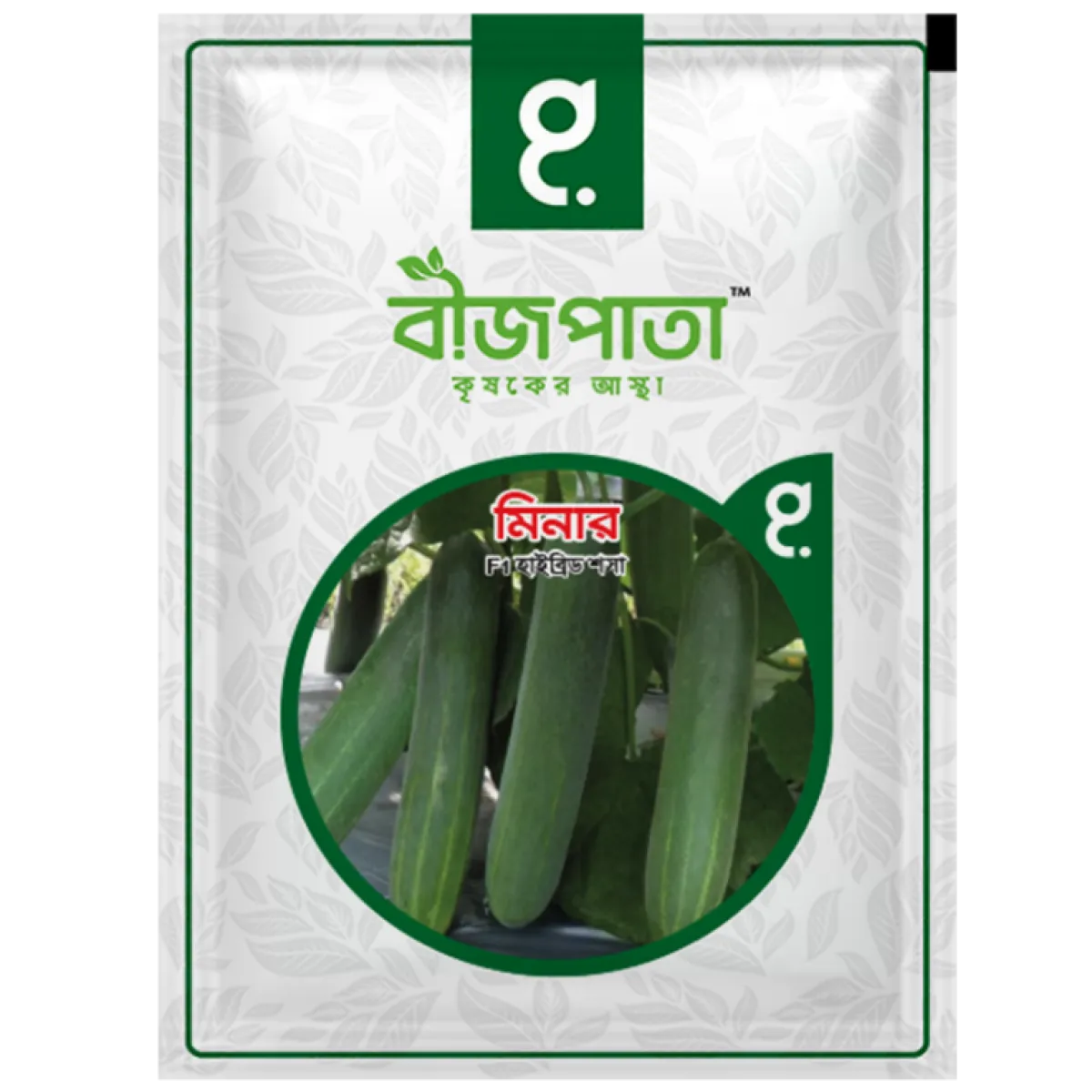 মিনার শসা বীজ Minar Cucumber Seed