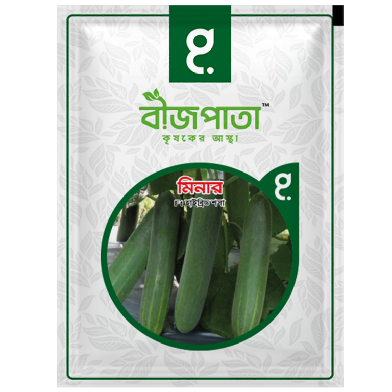 মিনার শসা বীজ Minar Cucumber Seed_img_0