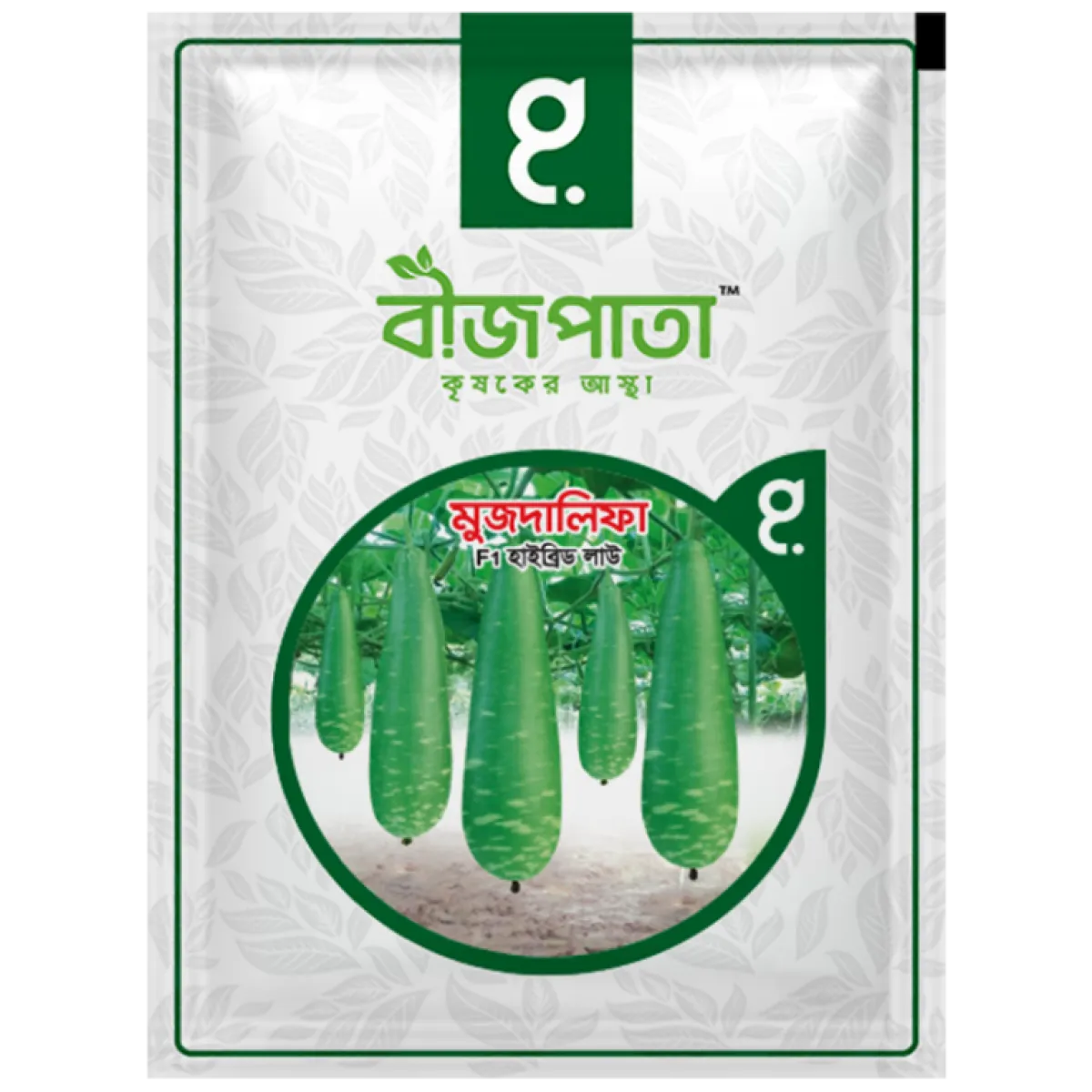 মুজদালিফা লাউ বীজ Muzdalifah Bottle Gourd Seed