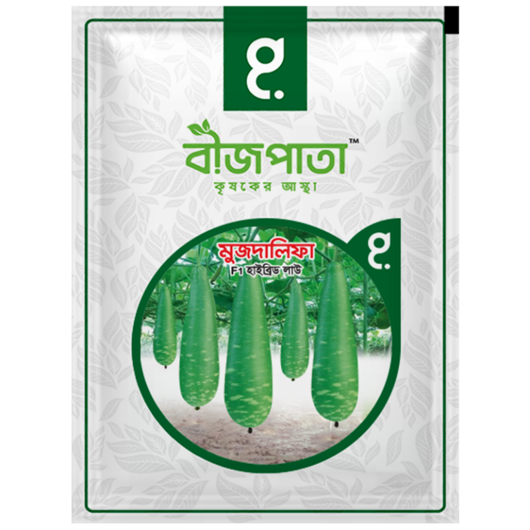 মুজদালিফা লাউ বীজ Muzdalifah Bottle Gourd Seed_img_0