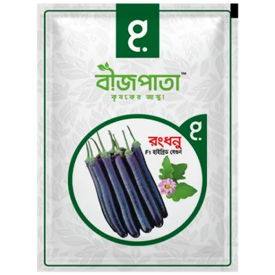 রংধনু বেগুন বীজ Rongdhonu Brinjal / Eggplant Seed_img_0