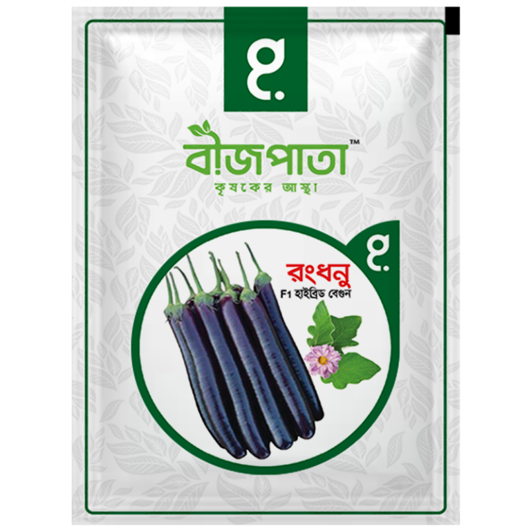 রংধনু বেগুন বীজ Rongdhonu Brinjal / Eggplant Seed_img_0