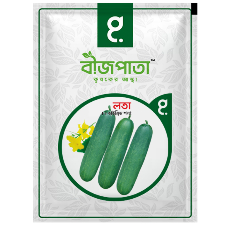 লতা শসা বীজ Lota Cucumber Seed_img_0