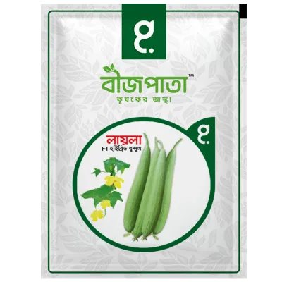 লায়লা ধুন্দুল বীজ Laila Sponge Gourd Seed_img_0