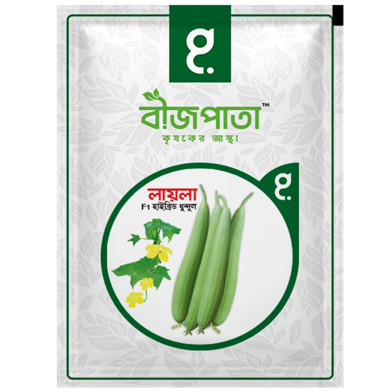 লায়লা ধুন্দুল বীজ Laila Sponge Gourd Seed_img_0