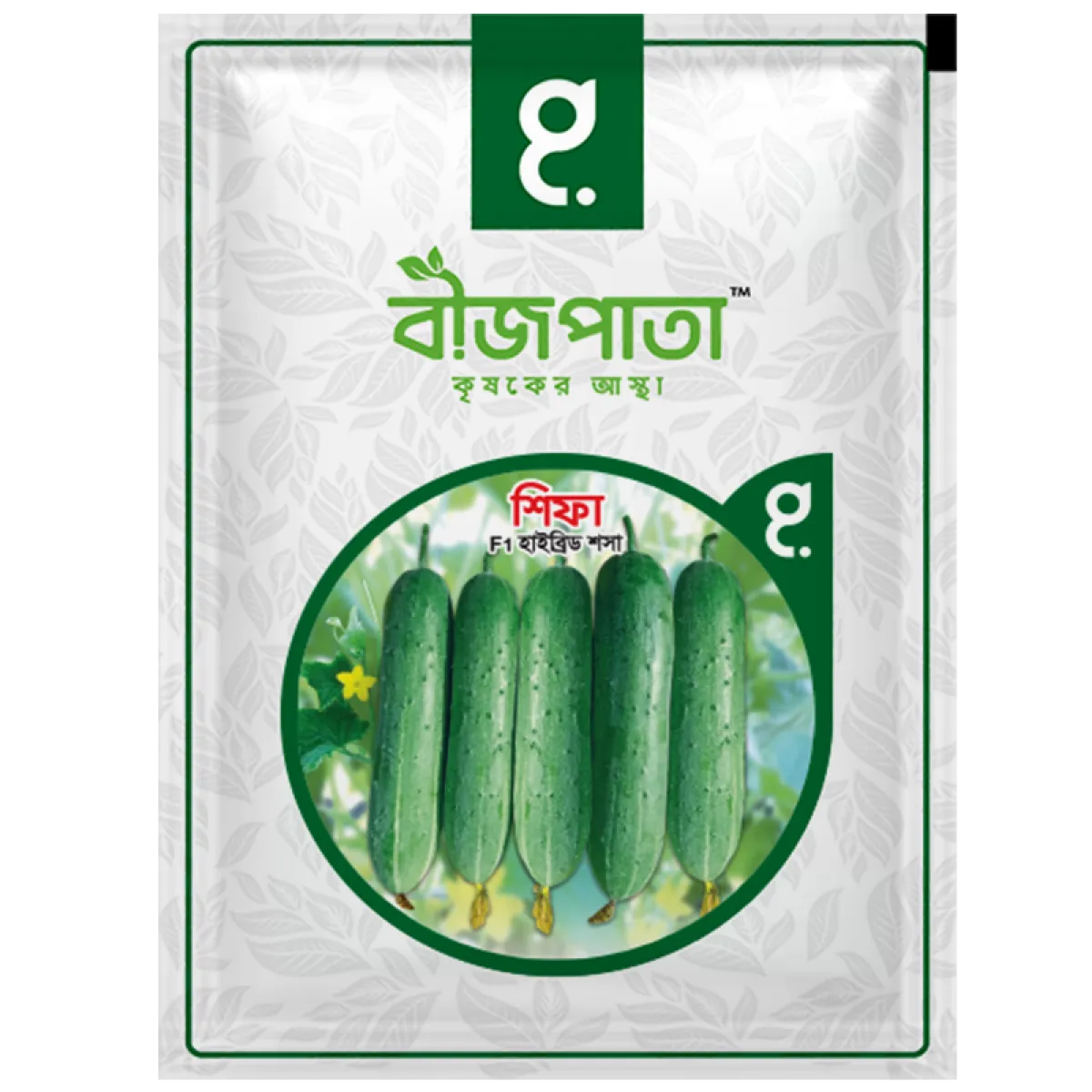 শিফা শসা বীজ Shifa Cucumber Seed