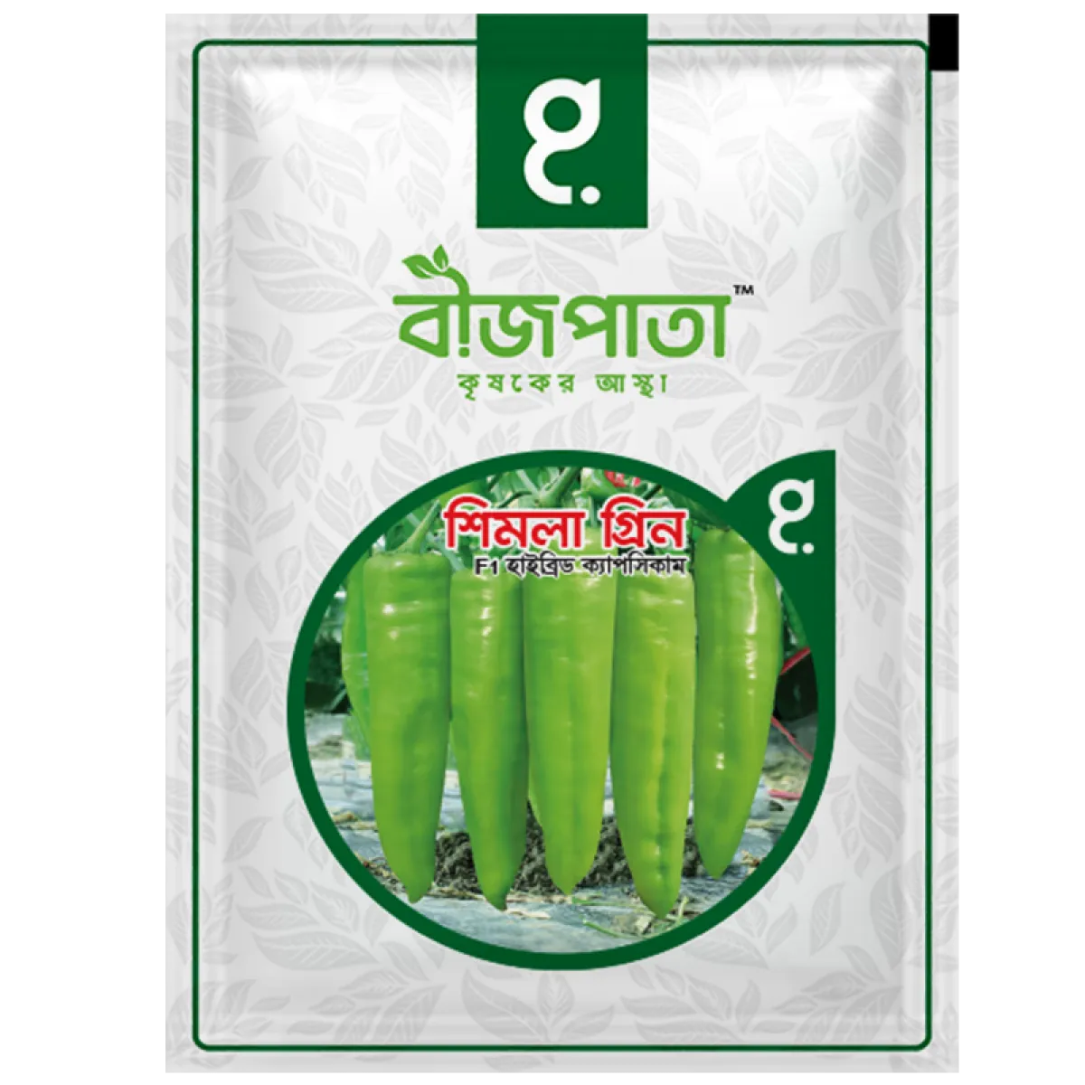 শিমলা গ্রিন সুইট পেপার ক্যাপসিকাম বীজ Shimla Green Capsicum / Sweet Pepper Seed