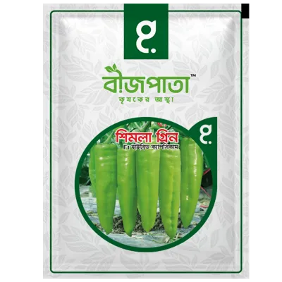 শিমলা গ্রিন সুইট পেপার ক্যাপসিকাম বীজ Shimla Green Capsicum / Sweet Pepper Seed_img_0