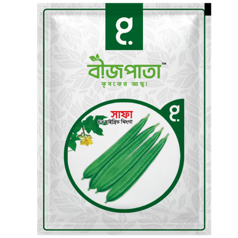 সাফা ঝিঙা বীজ Safa Luffa Seed_img_0