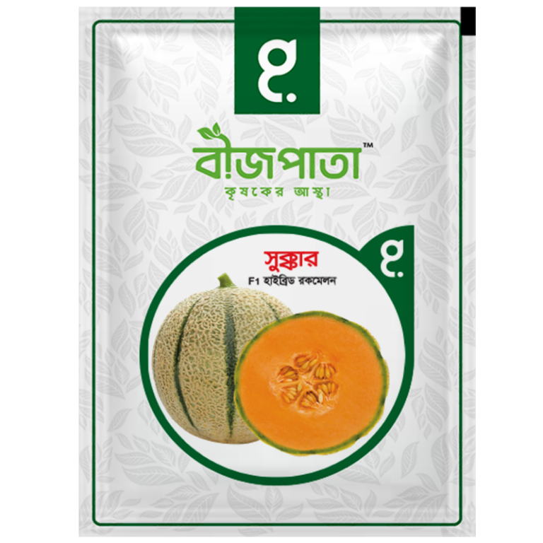 সুক্কার রকমেলন বীজ Sukkar Rockmelon Seed