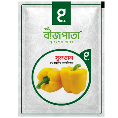 সুলতান এফ১ হাইব্রিড ক্যাপসিকাম বীজ_img_0