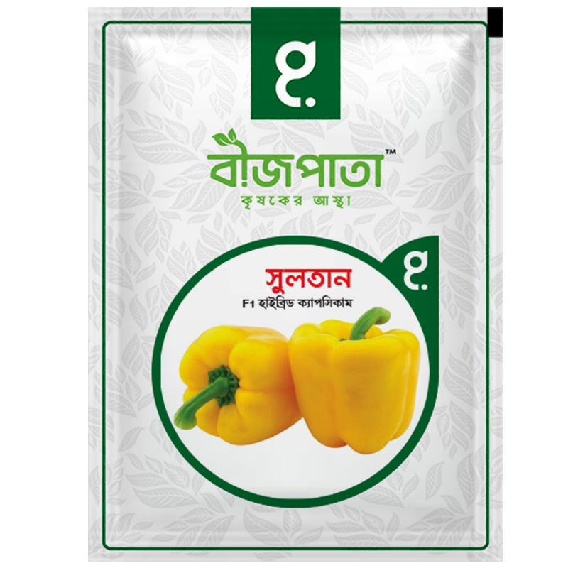সুলতান এফ১ হাইব্রিড ক্যাপসিকাম বীজ_img_0