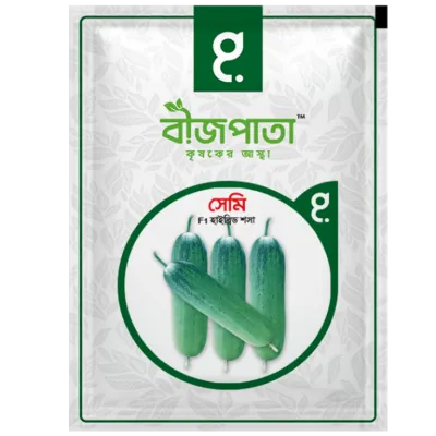 সেমি শসা বীজ Semi Cucumber Seed_img_0