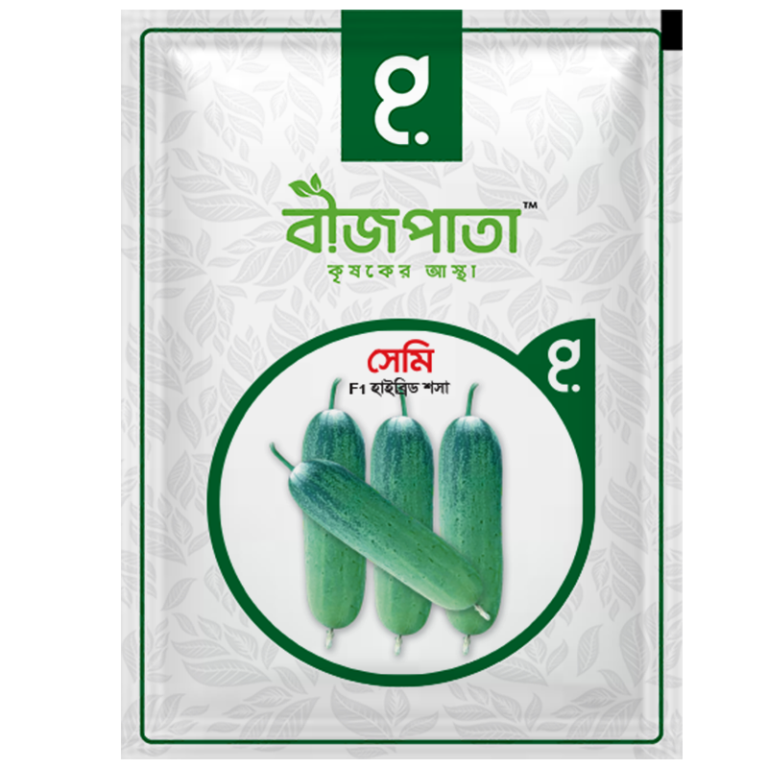 সেমি শসা বীজ Semi Cucumber Seed