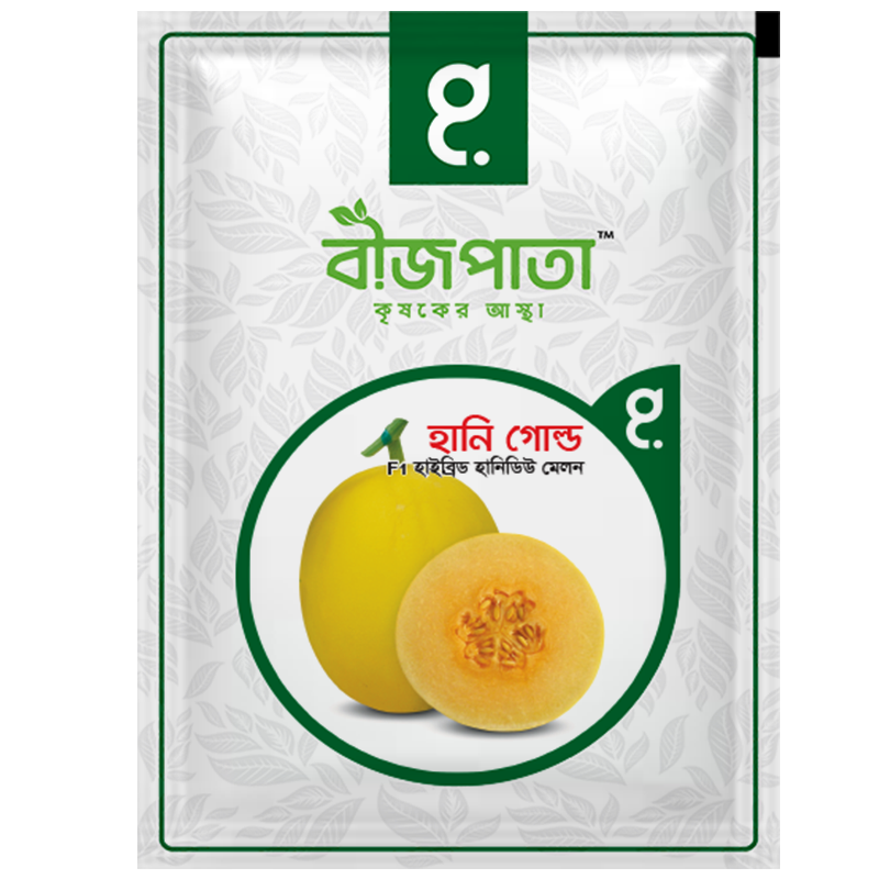 হানি গোল্ড এফ১ হাইব্রিড হানিডিউ মেলন Honey Gold F1 Hybrid Honeydew Melon_img_0