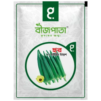 হুর ঢ্যাঁড়শ বীজ Hoor Okra Seed_img_0