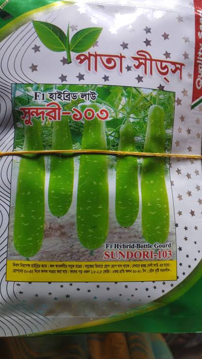 হাইব্রিড লাউ সুন্দরী ১০৩।  F1 Hybrid Bottle Gourd Seeds Sundori -103_img_0