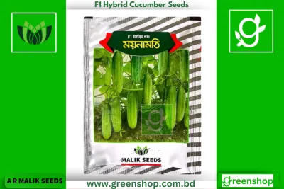 হাইব্রিড শসা বীজ - ময়নামত । F1 Hybrid Cucumber Seeds eeds Moynamoti_img_0