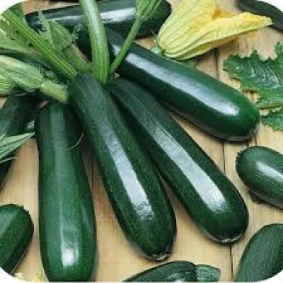 হাইব্রিড স্কোয়াশ বীজ_img_0