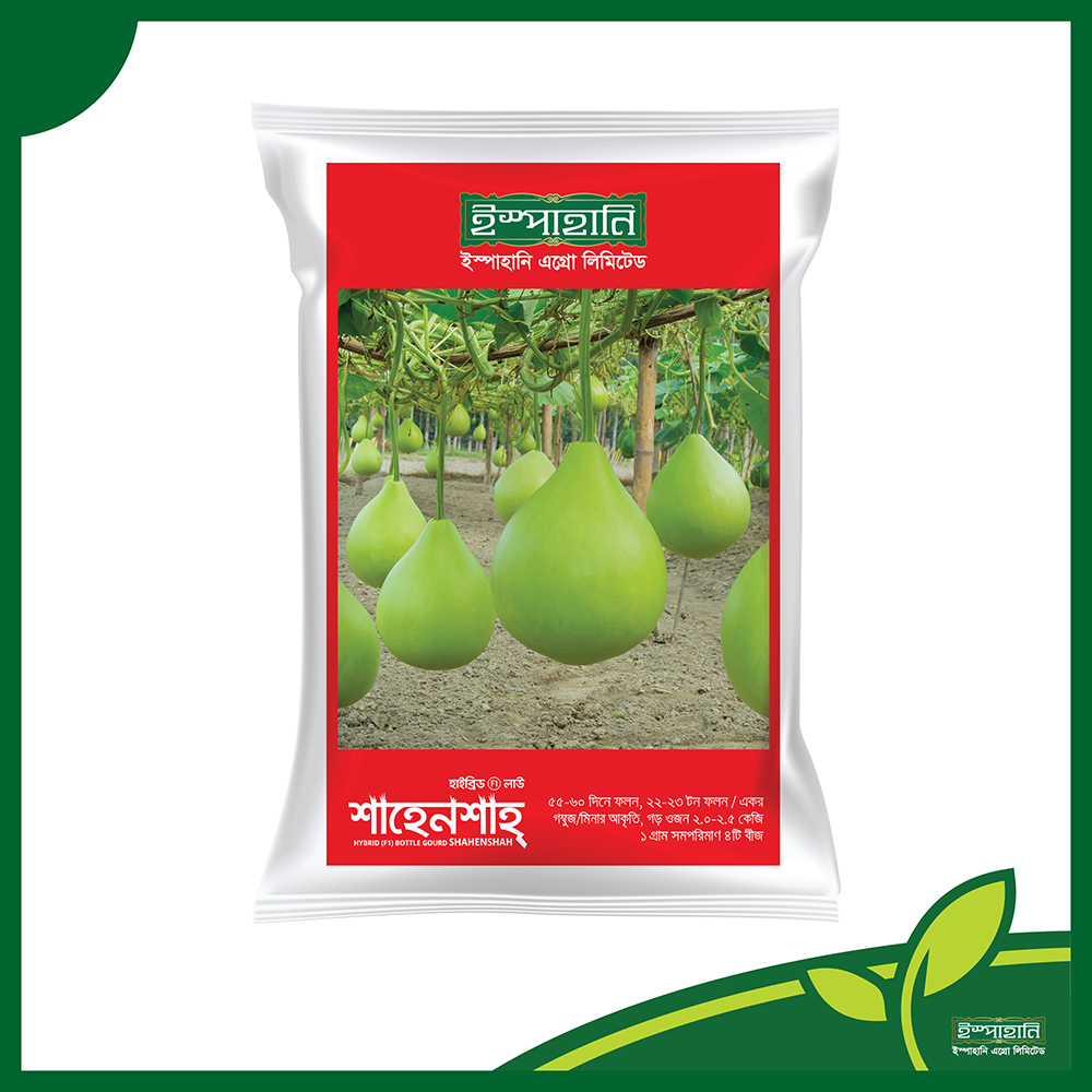 হাইব্রিড গোল লাউ বীজ শাহেনশাহ । F1 Hybrid Gourd Seeds Shahenshah