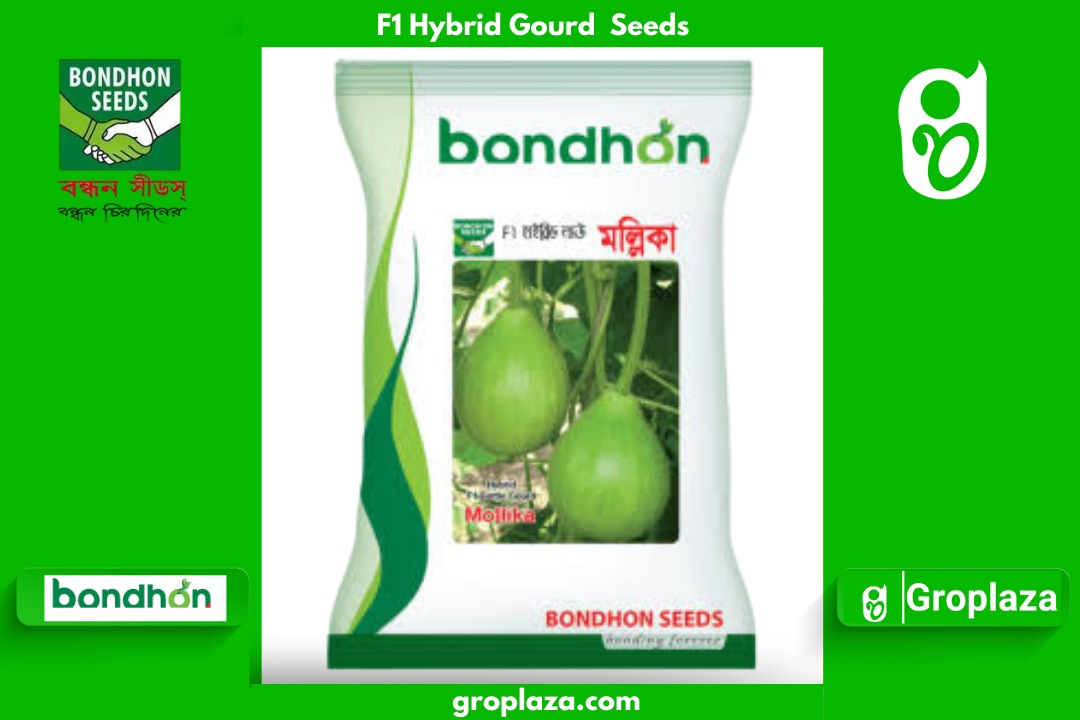 হাইব্রিড জাতের গোল লাউ বীজ মল্লিকা। F1 Hybrid Gourd Seeds Mollika