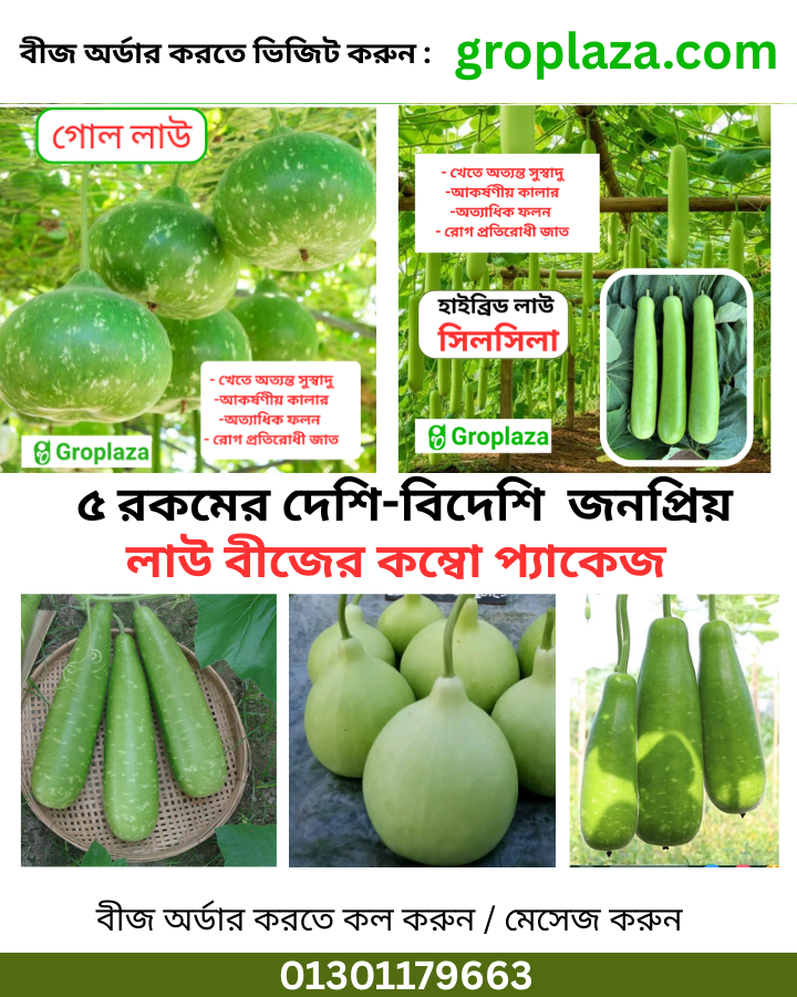 পাঁচ প্রকার হাইব্রিড জনপ্রিয় লাউ বীজের কম্বো প্যাকেজ