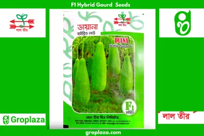 হাইব্রিড লাউ বীজ ডায়না । F1 Hybrid Gourd Seed Diana_img_0