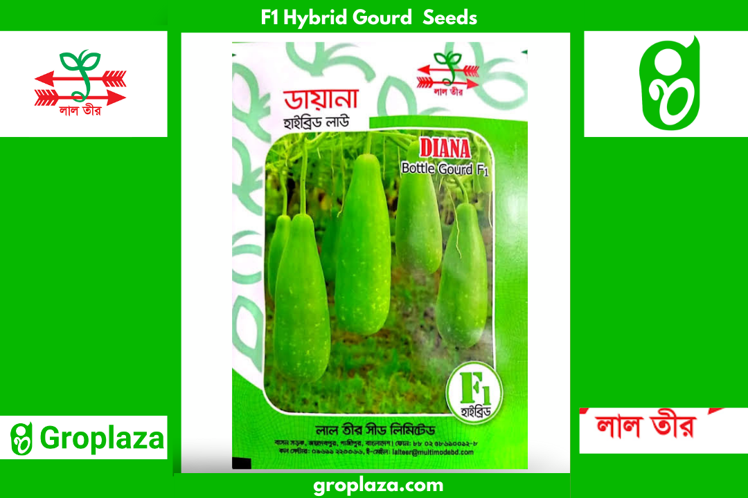 হাইব্রিড লাউ বীজ ডায়না । F1 Hybrid Gourd Seed Diana
