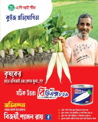 F1 হাইব্রিড মূলা বিডিএক্স ৮২৯ । F1 Hybrid Radish BDX 829 ( ACI SEED )_img_0