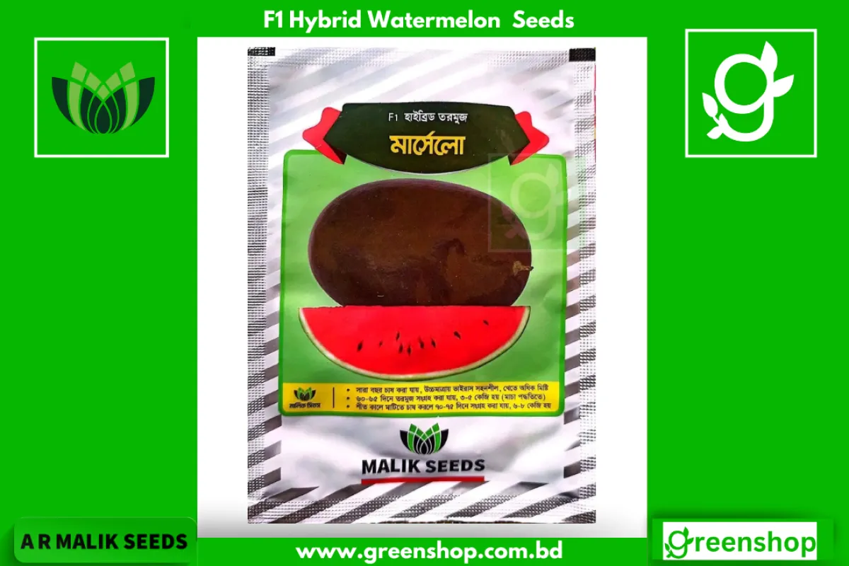 হাইব্রিড তরমুজ বীজ মার্সেলো । F1 Hybrid  Watermelon seeds Marcelo