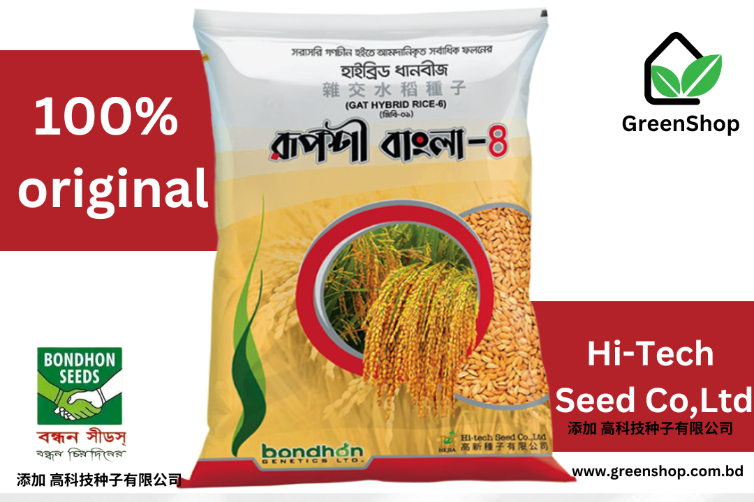 হাইব্রিড মোটা ধান বীজ রূপশী বাংলা - ৪