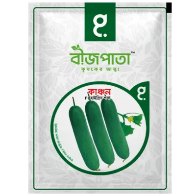 হাইব্রিড শসা বীজ কাঞ্চন। F1 Hybrid Cucumber Seeds Kanchan_img_0