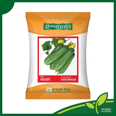 বারোমাসি শশার বীজ । Baromashi Cucumber seeds_img_0