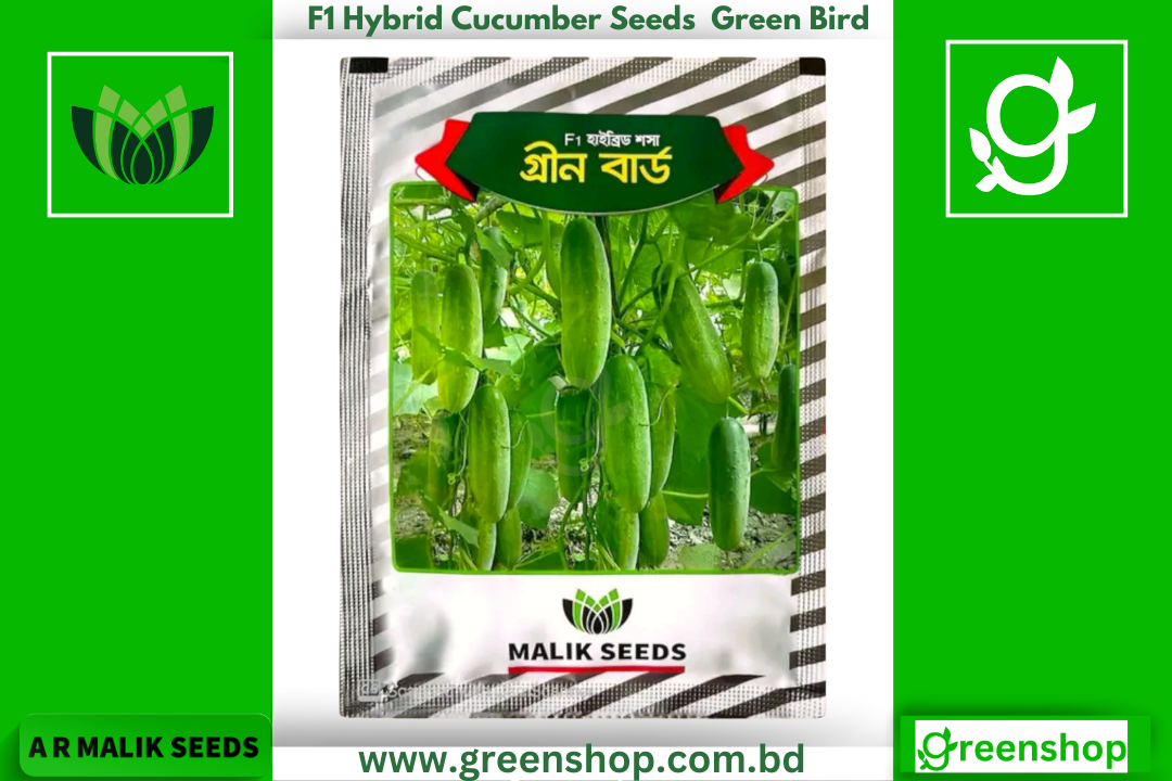হাইব্রিড শসা বীজ গ্রীন বার্ড। F1 Hybrid Cucumber Seeds Green Bird
